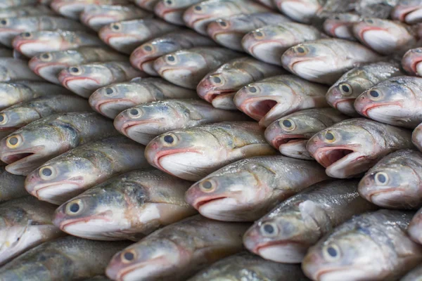 群体的鱼准备在泰国的新鲜的鱼市场批发 图库照片