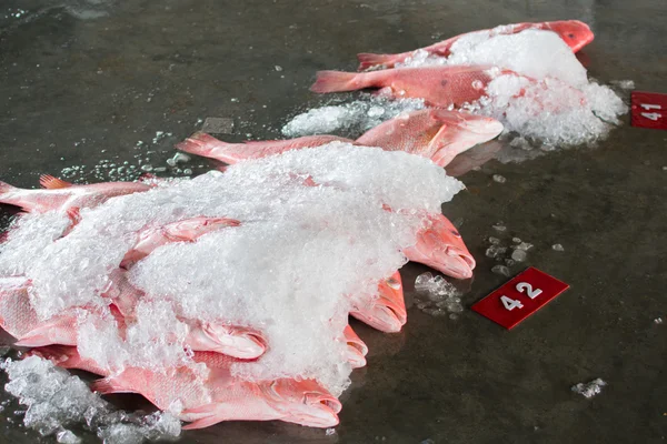 Un grupo de peces listos para la venta al por mayor en el mercado de pescado de Tailandia —  Fotos de Stock