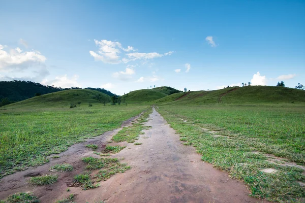 Hermoso paisaje el camino a la montaña en el campo de Thaila —  Fotos de Stock