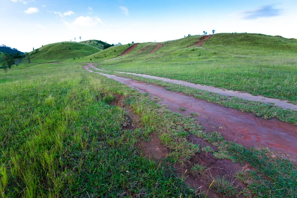 Hermoso paisaje el camino a la montaña en el campo de Thaila —  Fotos de Stock