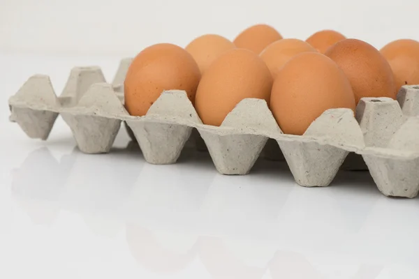 Yumurtalar izole arka plan ile tepsi — Stok fotoğraf