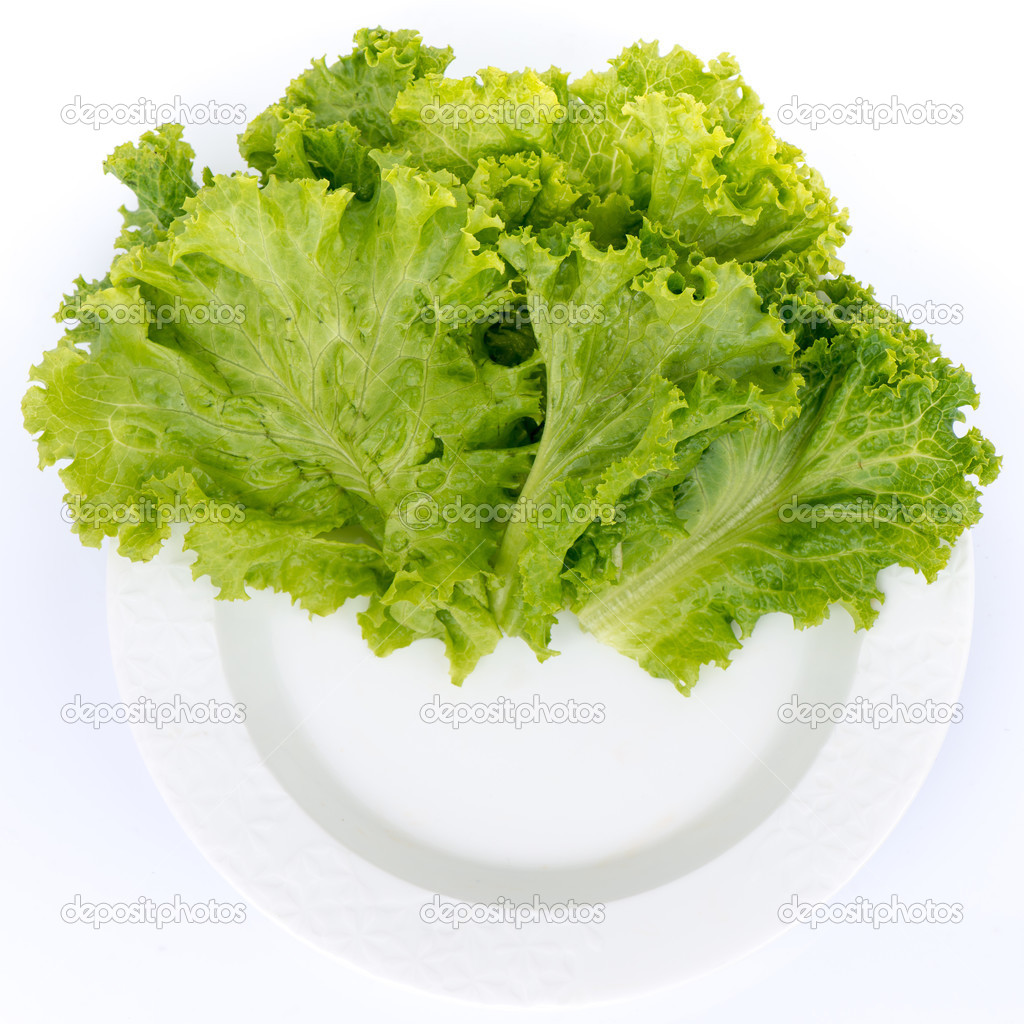 Lettuce on plate for food decoration with isolate background