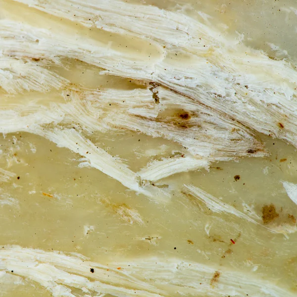 Texturas de polpa de madeira amarela — Fotografia de Stock