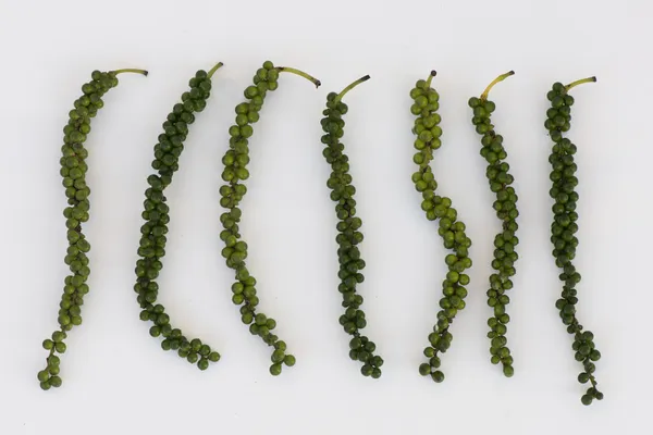 Klasar av färska gröna piper nigrum på vit bakgrund — Stockfoto