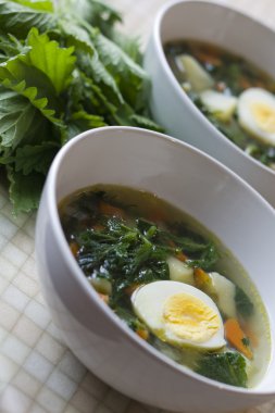 ısırgan otu çorbası