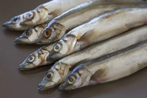 Raw fish capelin — Stock Photo, Image