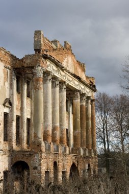 nara pushchino, Rusya üzerinde eski malikâne kalıntıları