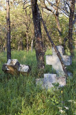 Stone crosses in the woods