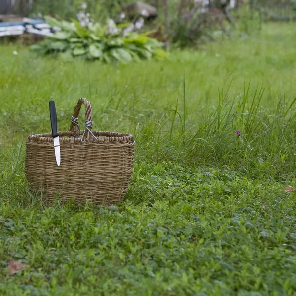 Cesta de vime está na grama — Fotografia de Stock