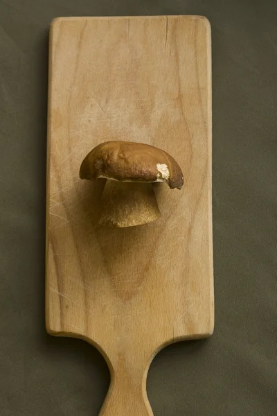 Boletus edulis en gros plan sur le tableau — Photo