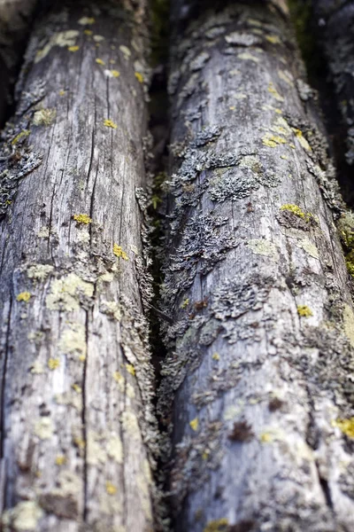 Gamla trä timmerstuga tak (detalj) — Stockfoto