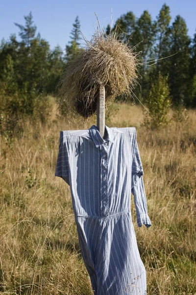 Vogelscheuche — Stockfoto