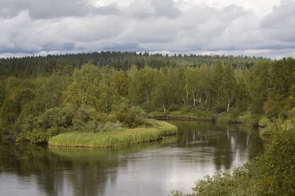 Nyári táj, erdő és a folyó, Észak-Finnország — Stock Fotó