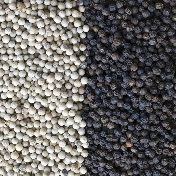 White pepper and  black pepper — Stock Photo, Image