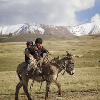 Oğlum kul Gölü, Kırgızistan - 10 Haziran. iki çocuk bir donke sürme
