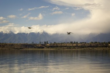 Issyk-Kul gölde Kırgızistan, Orta Asya