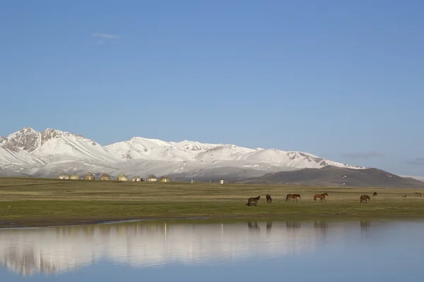 Jezero syn kul, Kyrgyzstán. pásli koně. — Stock fotografie