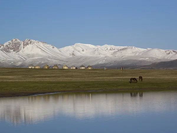 Lake zoon-kul, Kirgizië. paarden grazen. — Stockfoto