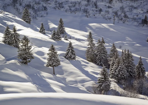 Montanha no inverno. Abeto coberto de neve — Fotografia de Stock