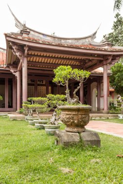 Tapınağın dışında satır bonsai ağaçları