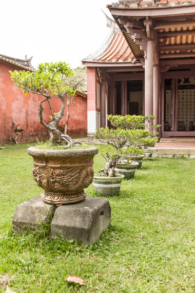 Reihe von Bonsai-Bäumen vor dem Tempel — Stockfoto