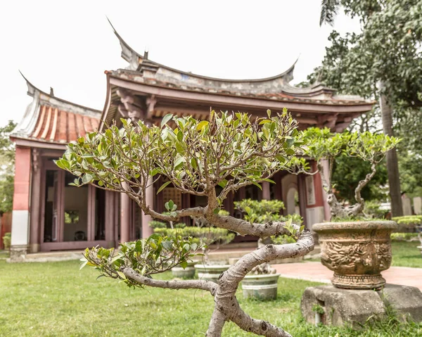 Ein Konfuzius Tempel Mit Bonsai Pflanzen Davor — Stockfoto