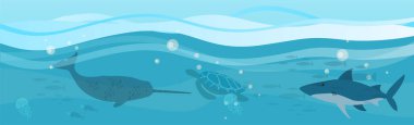 Deniz canlılarıyla dolu sualtı manzarası. Okyanusta yırtıcı deniz memelileri, katil balina ve deniz gergedanı.