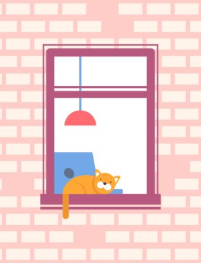 Pencere pervazında Uyuyan Kedi Önünde Pencereyi Aç