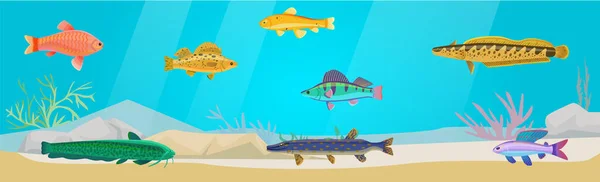 Unterwasserwelt mit exotischen Fischen. Meeresboden mit Meereslebewesen, Schwarm tropischer Fische — Stockvektor
