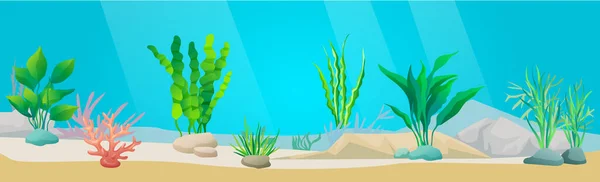 Зелені водорості на дні моря. Підводна океанічна фауна з водоростями, морськими рослинами, під водою, морським дном — стоковий вектор