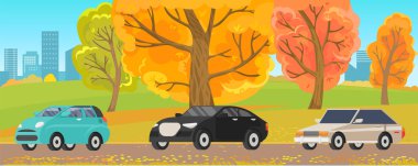 Sonbahar parkındaki doğa manzarasının arka planında renkli camlar olan farklı tipte arabalar.