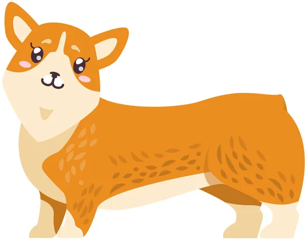 Pembroke welsh corgi cartoon illustration. Kawaii breed corgi standing sticker, funny little dog — Stock Vector