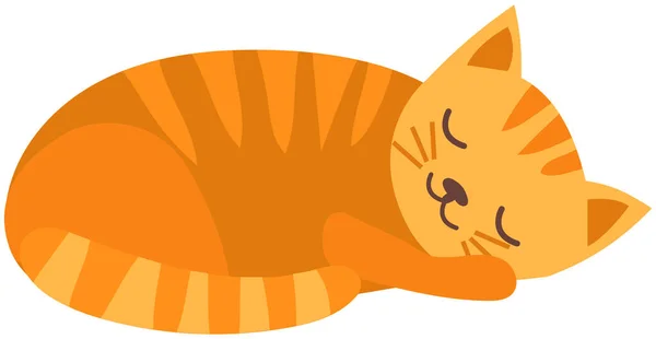 Ginger gatito acostado con los ojos cerrados. Animales viviendo en casa, linda mascota, gato de casa durmiendo — Archivo Imágenes Vectoriales