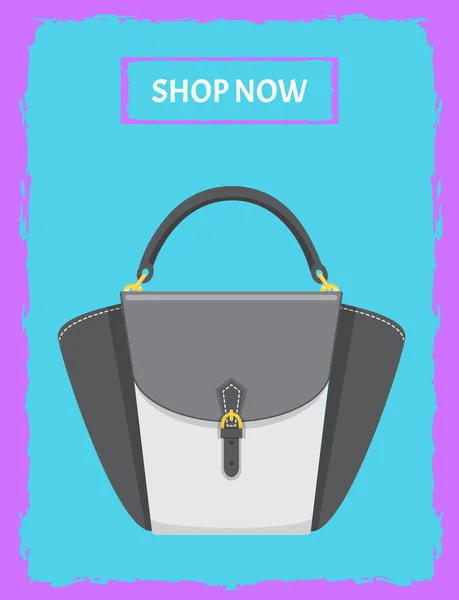 Desenhos animados ilustração de mulheres saco vetor ícone no fundo, cartaz com bolsa elegante —  Vetores de Stock