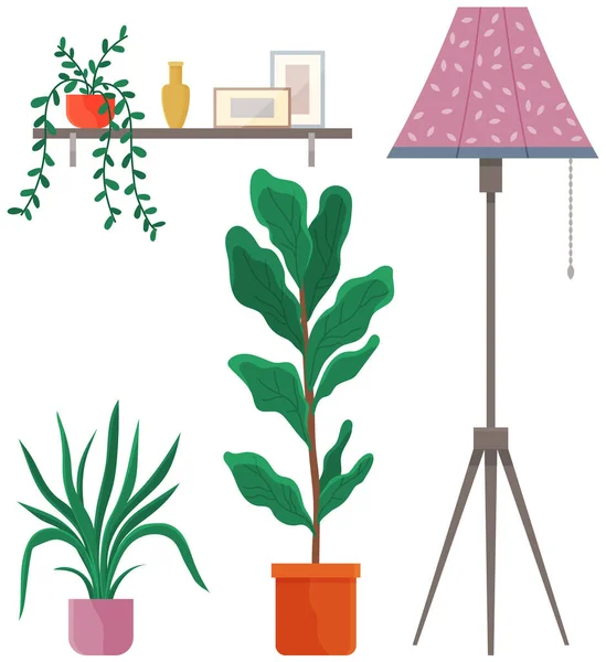 Yeşillik, ev bitkileri apartman tasarımı. Evde saksıda saksı ve çiçek yetiştiriyor. — Stok Vektör