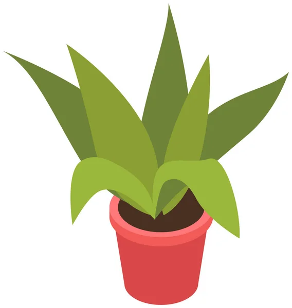 Dekorative grüne Pflanze mit langen Blättern im Keramiktopf, Topf mit Zimmerpflanze. Eigenheimpflanze — Stockvektor