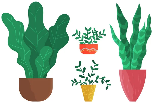 装饰设置绿色植物与长叶陶瓷壶,壶与家庭植物.家庭室内植物 — 图库矢量图片