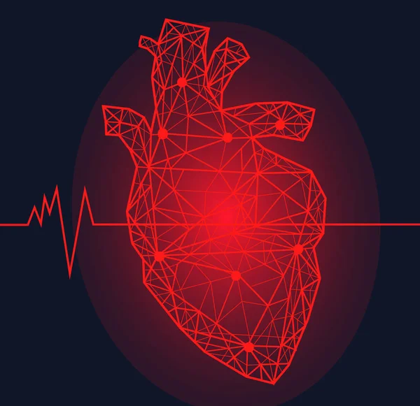 Coeur humain anatomique avec zone douloureuse. Organe du système cardiovasculaire image volumétrique 3D moderne — Image vectorielle