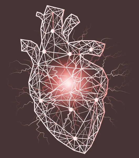 Anatómiai emberi szív fájdalmas területtel. Organ of cardiovascular system modern 3D volumetrikus kép — Stock Vector