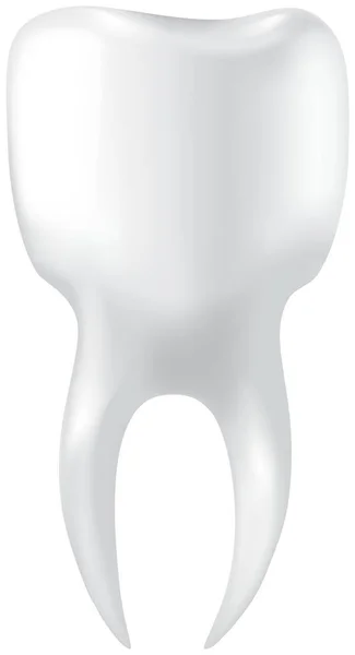 Dent humaine à maille simple. Symbole soin et hygiène icône. Molaire blanche avec émail et deux racines — Image vectorielle