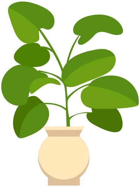 Διακοσμητικό πράσινο φυτό με μακριά φύλλα σε κεραμική κατσαρόλα, κατσαρόλα με φυτό εσωτερικού χώρου. Μονάδα εσωτερικού χώρου — Διανυσματικό Αρχείο