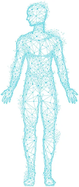 Corpo umano poligonale con testa e arti. Schema geometrico dell'uomo fatto di linee e punti blu — Vettoriale Stock