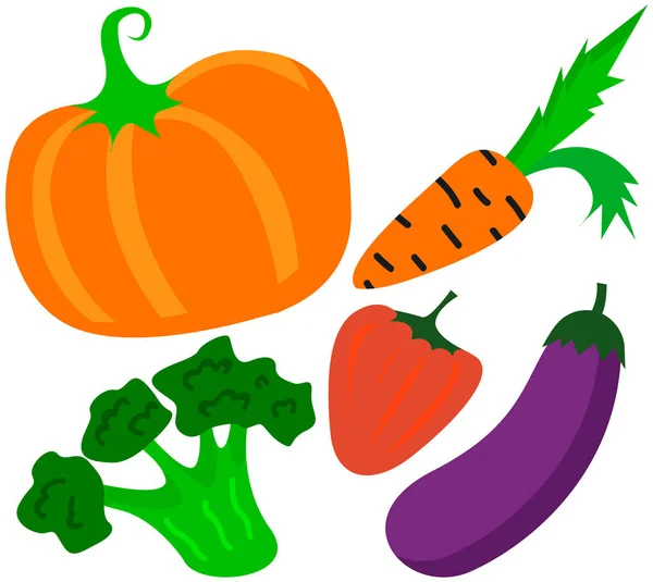 Gemüseauswahl, frische Produkte, veganes Essen. Natürlicher Kürbis, Auberginen, Brokkoli, Paprika, Karotten — Stockvektor