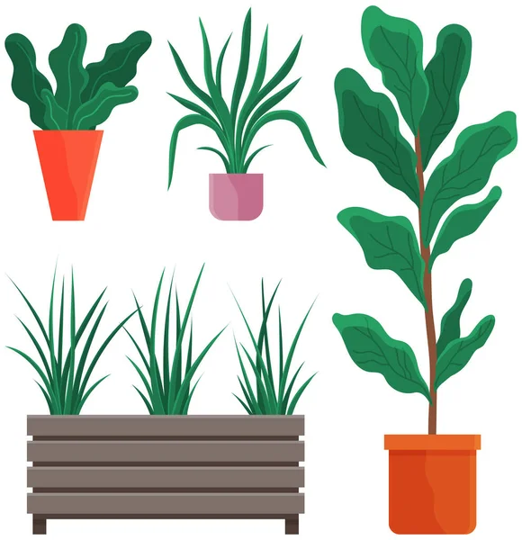 Decoratieve set groene plant met lange bladeren in keramische pot, pot met kamerplant. Woonplant — Stockvector