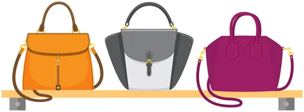 Set van vrouwen tas vector pictogram geïsoleerd op witte achtergrond, stijlvolle handtas, vrouwelijke accessoires — Stockvector