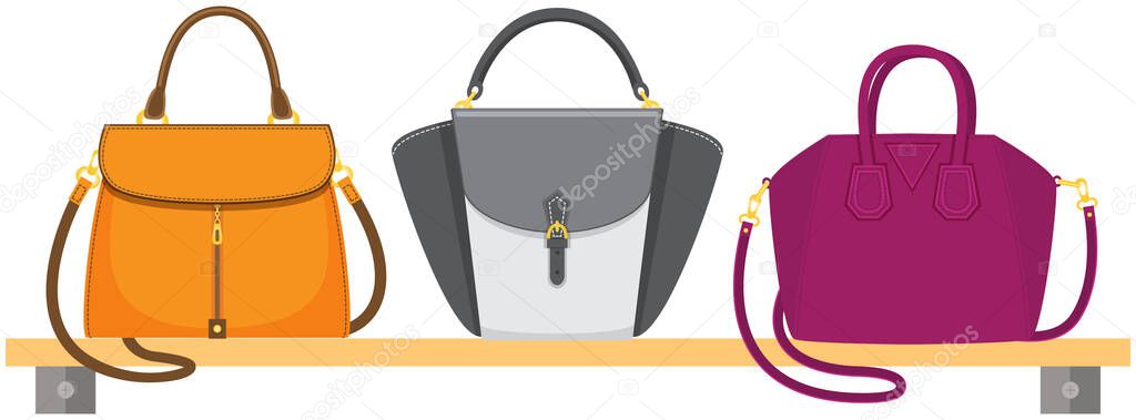 Set of women bag vector icon isolated on white background, stylish handbag, female accessories