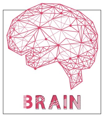 İnsan merkezi sinir sisteminin organı. Beynin kırmızı çizgiler ve noktalardan oluşmuş modern tasviri