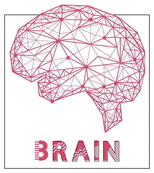 Organe du système nerveux central humain. Représentation moderne du cerveau fait de lignes rouges et de points — Image vectorielle