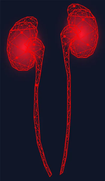 Reni umani poligonali fatti di linee rosse e punti. Organo per l'escrezione delle urine, sistema urinario umano — Vettoriale Stock