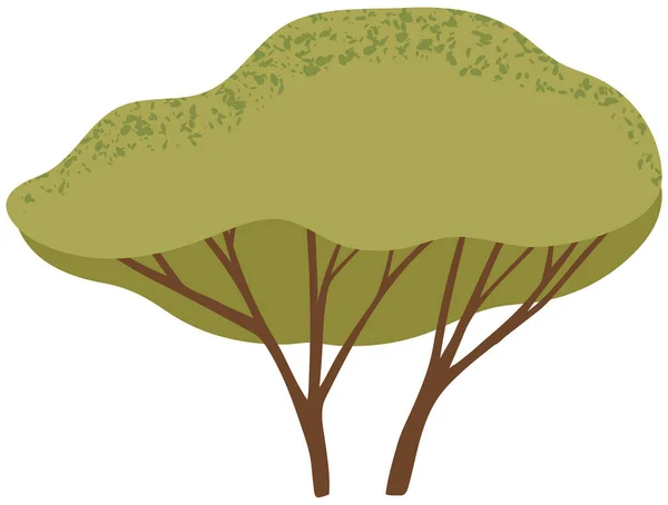 Drzewo liściaste z pniem i gęstymi liśćmi. Wysoka roślina z szeroko rozłożonymi gałęziami i zielonymi liśćmi — Wektor stockowy